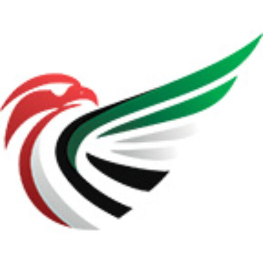 Falcon fly uav logo